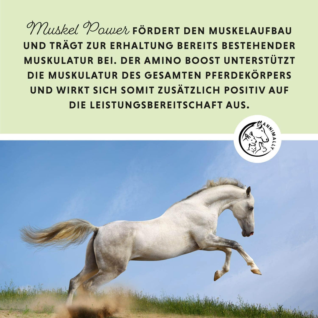 Annimally Muskelaufbau Pulver für Pferde 700g mit Sojaprotein, Lysin, Carnitin, Threonin, Methionin