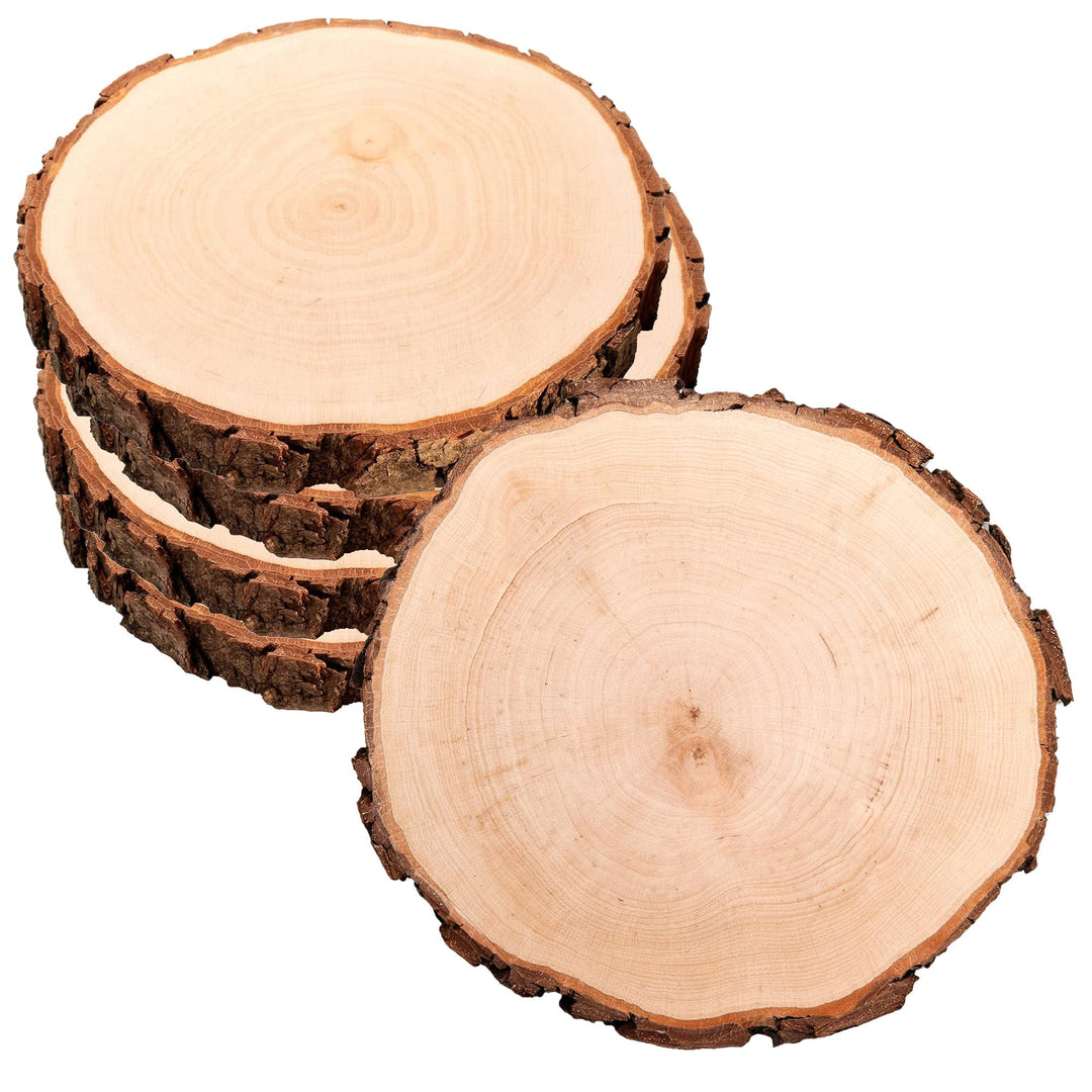 5er Set Baumscheiben aus echtem Holz mit Rinde, Runde Holzdeko Baumstamm Scheiben, Natürliche Holzsc