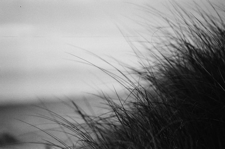 NP100 Schwarz/Weiss Kleinbildfilm (100/21 ISO) - 30,5 Meter B+W 35mm Film 30,5 Meter, B+W 35mm Film