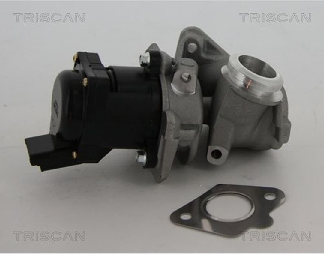 TRISCAN 8813 10010 AGR-Ventile