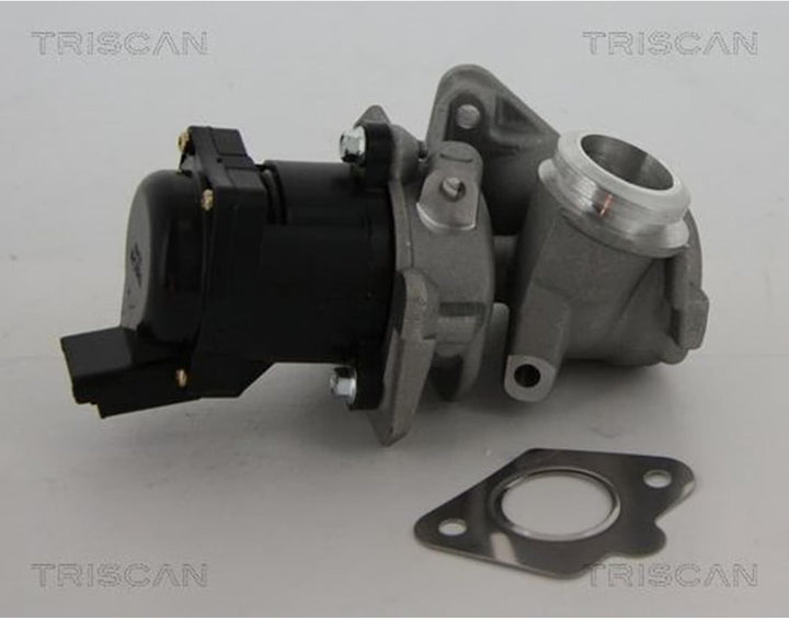TRISCAN 8813 10010 AGR-Ventile