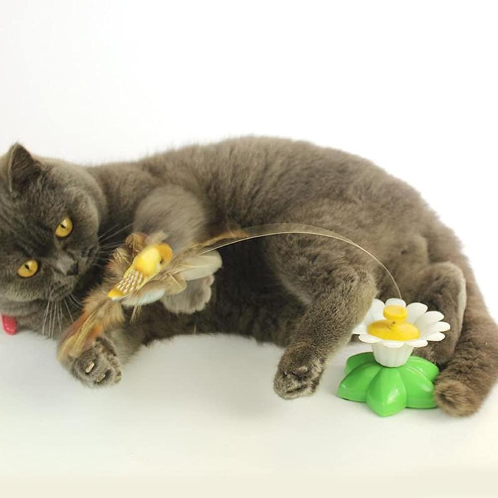 Interaktives Spielzeug, automatische rotierende Katze, elektrischer Vogel, ideal für Unterhaltung un