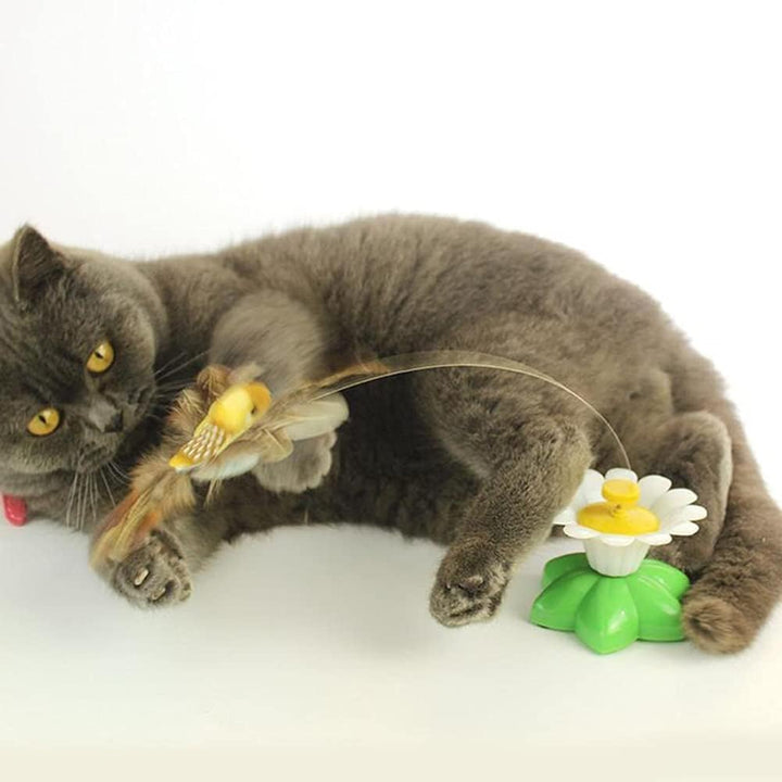 Interaktives Spielzeug, automatische rotierende Katze, elektrischer Vogel, ideal für Unterhaltung un