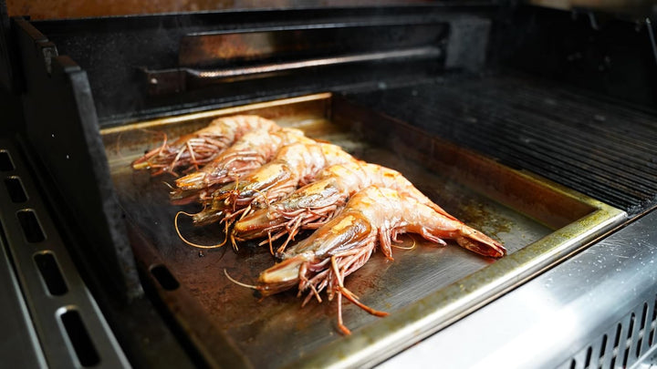 SANTOS einsetzbare Grillpfanne/Einsatzpfanne - Edelstahl Plancha - 31,5x48x4cm - versch Broil King R