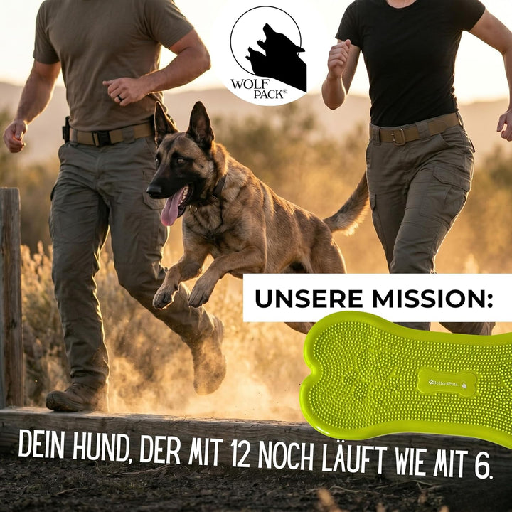 Wolfpack® Fitness Dog Bone – Balance Pad &amp; Physio Wackelkissen für kleine &amp; grosse Hunde – krallenfe