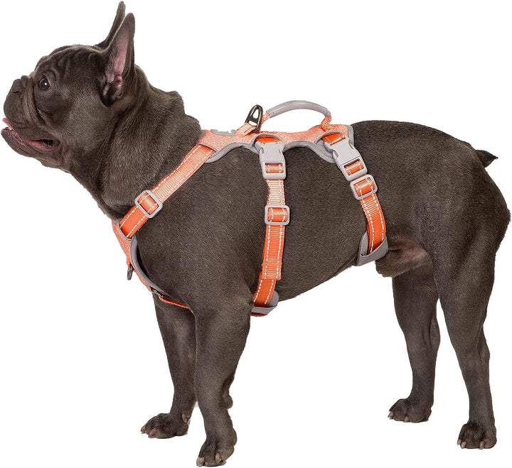 Huntboo Ausbruchsicheres Geschirr, No Escape Hundegeschirr,Reflektierendes Geschirr mit Gepolstertem