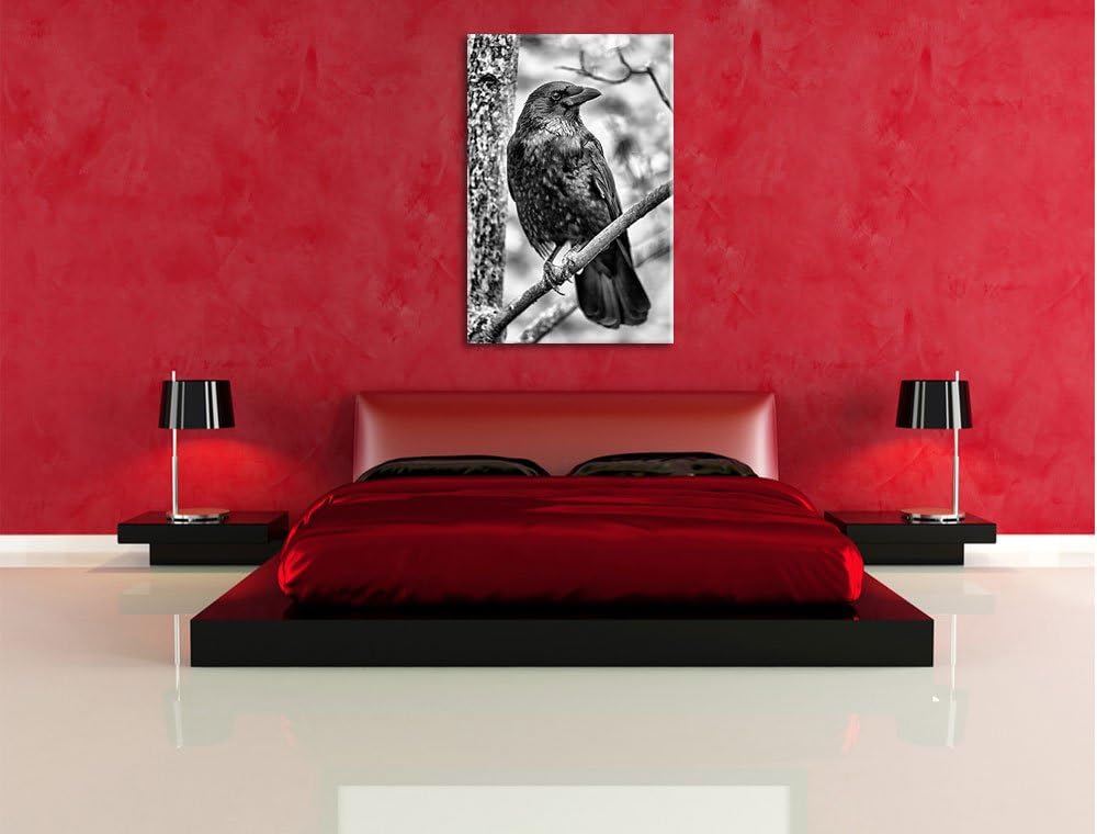 Pixxprint schwarzer Rabe auf AST / 100x70cm Leinwandbild bespannt auf Holzrahmen/Wandbild Kunstdruck