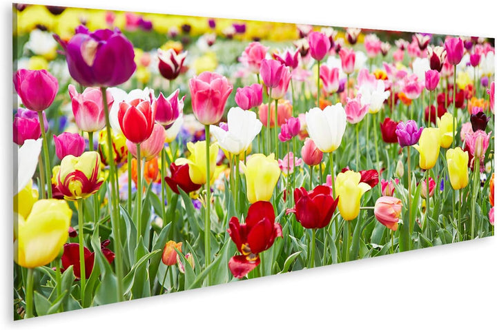 islandburner Bild auf Leinwand Verschiedene Blumen Und Blühende Tulpen Bilder Wandbilder Poster Lein