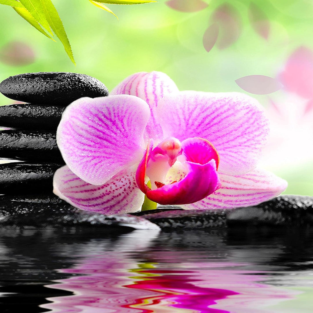 Runa Art Bild Wohnzimmer Schlafzimmer Orchidee Feng Shui 5 Teilig Steine Zen Pink Wandbilder auf Vli