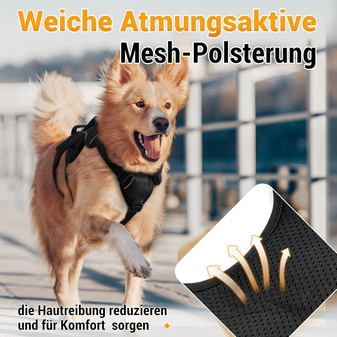 rabbitgoo Ausbruchsicheres Hundegeschirr Mittelgrosse Hunde mit Griff, Anti Zug Sicherheitsgeschirr