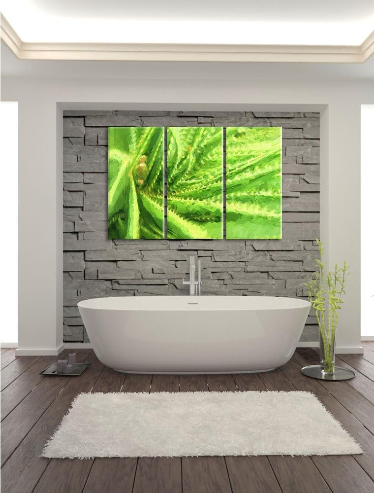 Pixxprint Aloe Vera Pflanze als Leinwandbild/Grösse: 3 Teilig (120x80 cm) cm/Wandbild/Kunstdruck/fer
