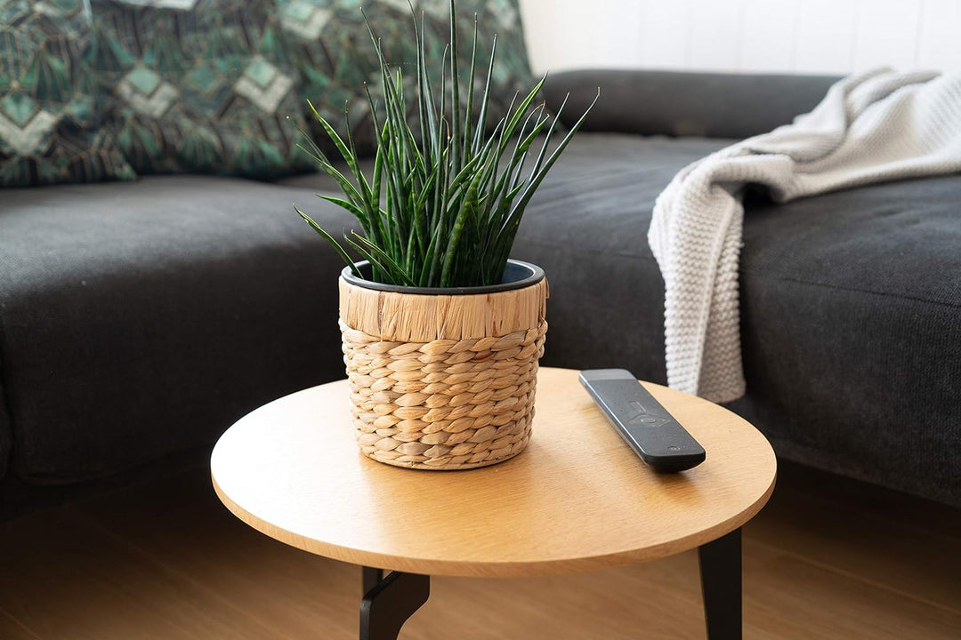 Decorasian 3er Set Blumentopf rund geflochten aus Seegras mit Kunststoffeinsatz zum bepflanzen - Pfl