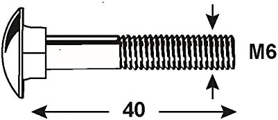 Connex Schlossschrauben M6 x 40 mm, Edelstahl, DIN 603, 1000 g, KL4540640 Silber, M6 x 40 mm