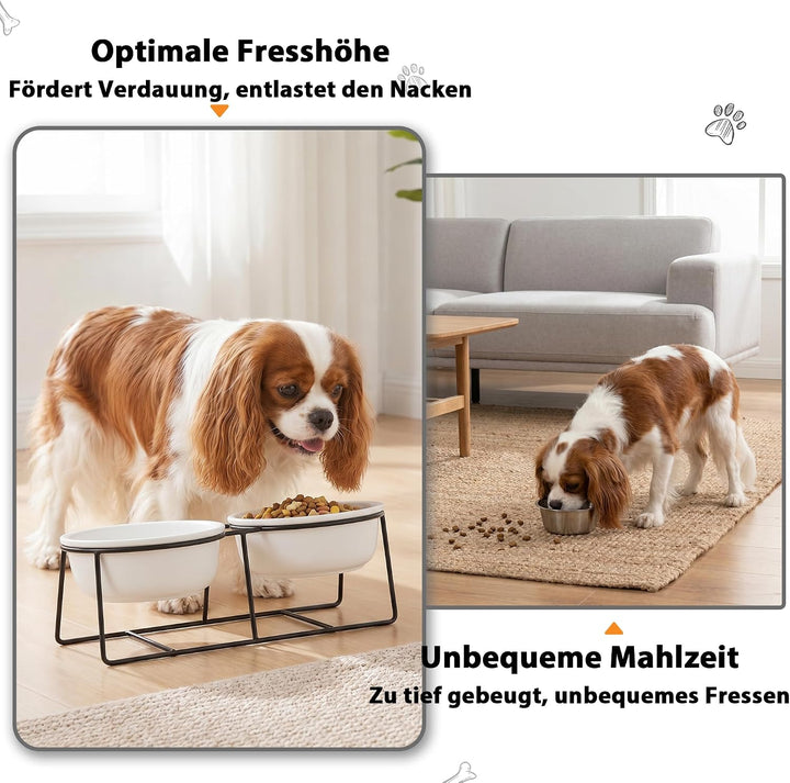Hundenapf Keramik - Futternapf Hund Katzennapf - Futterstation Hund Katzen Erhöht mit Ständer - Dopp