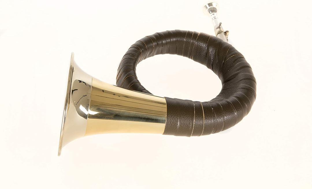 Roy Benson HH-101 Fürst-Pless-Horn