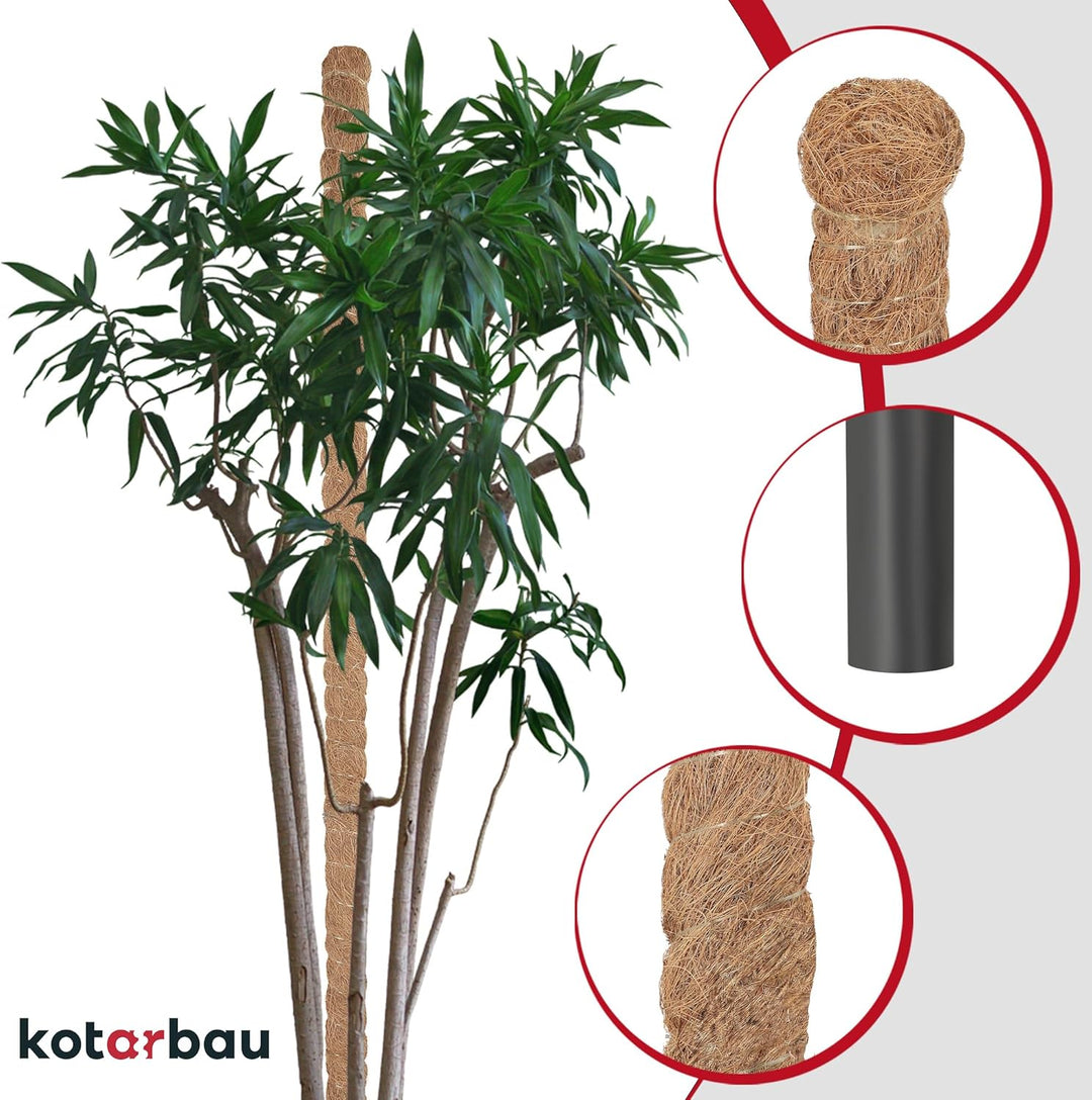 KOTARBAU® Moosstab für Monstera Kokos Natural ⌀ 3,2 x 120 cm Pflanzenstab Rankhilfe für Monstera Pfl
