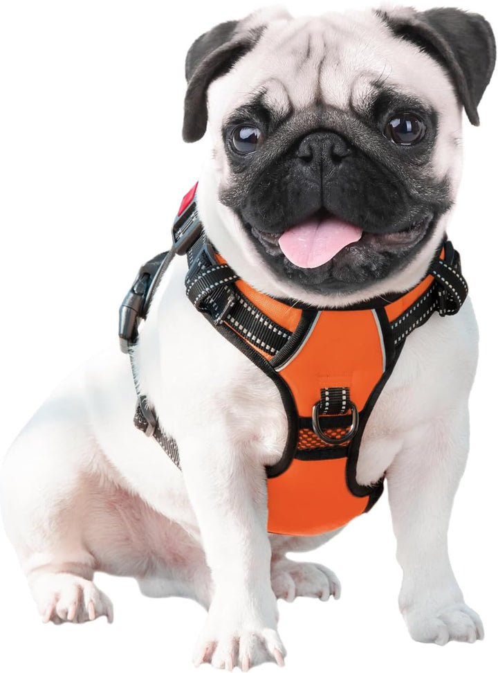 PHOEPET Hundegeschirr ohne Zug für kleine Hunde Reflektierende Weste mit verstellbarem Clip vorne mi