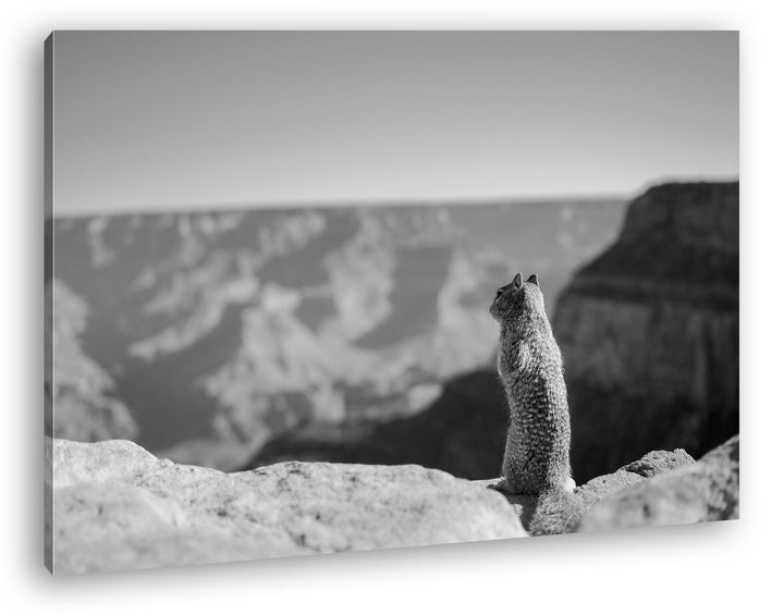 deyoli einsames Eichhörnchen am Canyon Effekt: Schwarz/Weiss Format: 80x60 als Leinwand, Motiv ferti