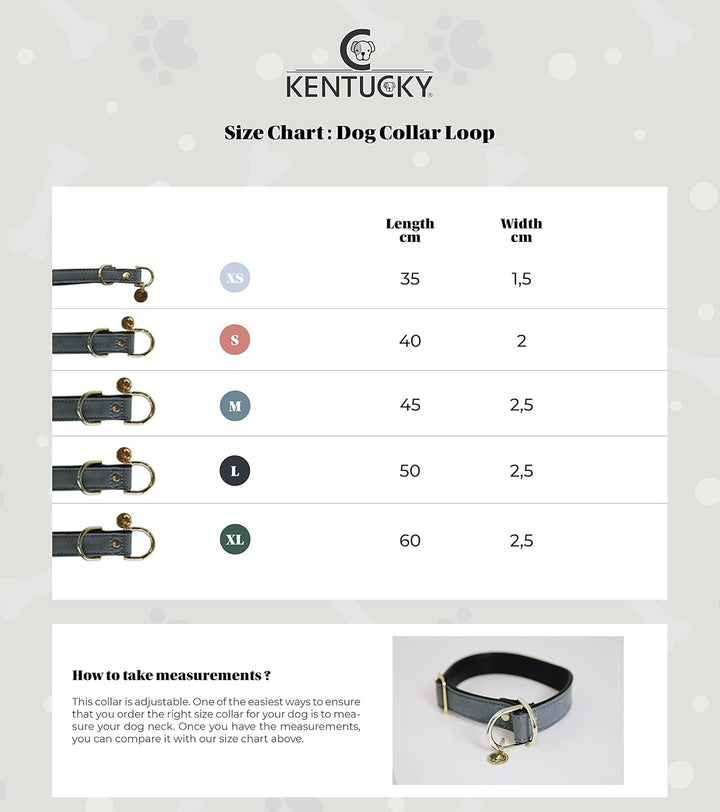 Kentucky Dogwear Loop Hundehalsband, Grösse:S, Farbe:grau S Grau, S Grau