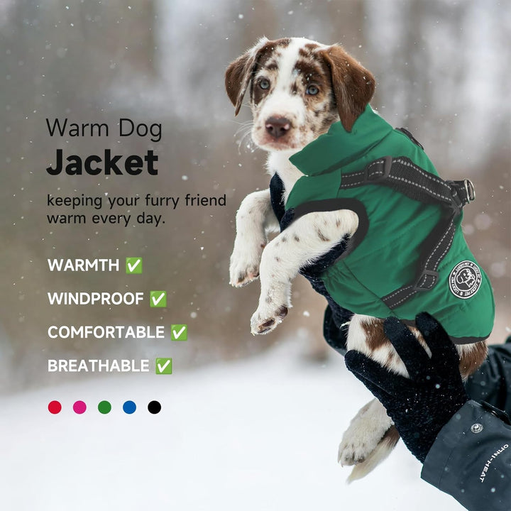 Hundemantel für Kleine Hunde Wasserdicht,Hundemantel mit Geschirr, Winterjacken &amp; Wintermäntel für H