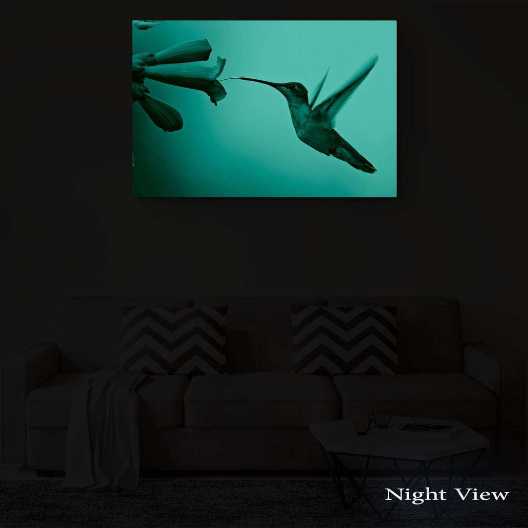 Startonight Bilder Netter Kolibri, Leinwandbilder Moderne Kunst, Vögel Wanddeko Kunstdrucke, Wandbil