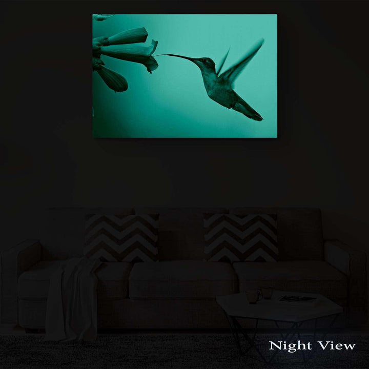 Startonight Bilder Netter Kolibri, Leinwandbilder Moderne Kunst, Vögel Wanddeko Kunstdrucke, Wandbil