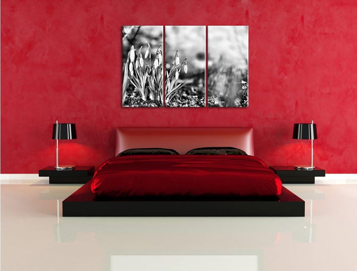 Pixxprint Schneeglöckchen am Waldrand als Leinwandbild/Grösse: 3 Teilig (120x80) cm/Wandbild/Kunstdr