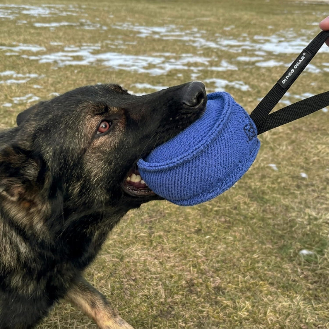 Dingo Gear Beisswurst,Berta&