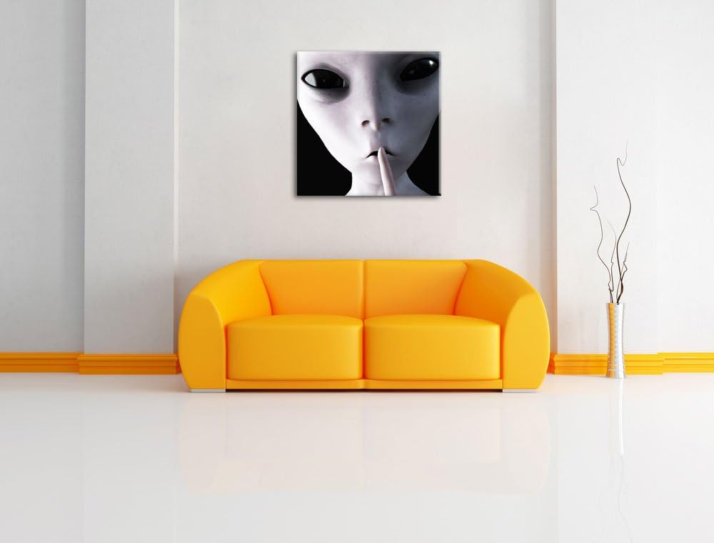 Alien - nicht reden, Format: 70x70 auf Leinwand, XXL riesige Bilder fertig gerahmt mit Keilrahmen, K