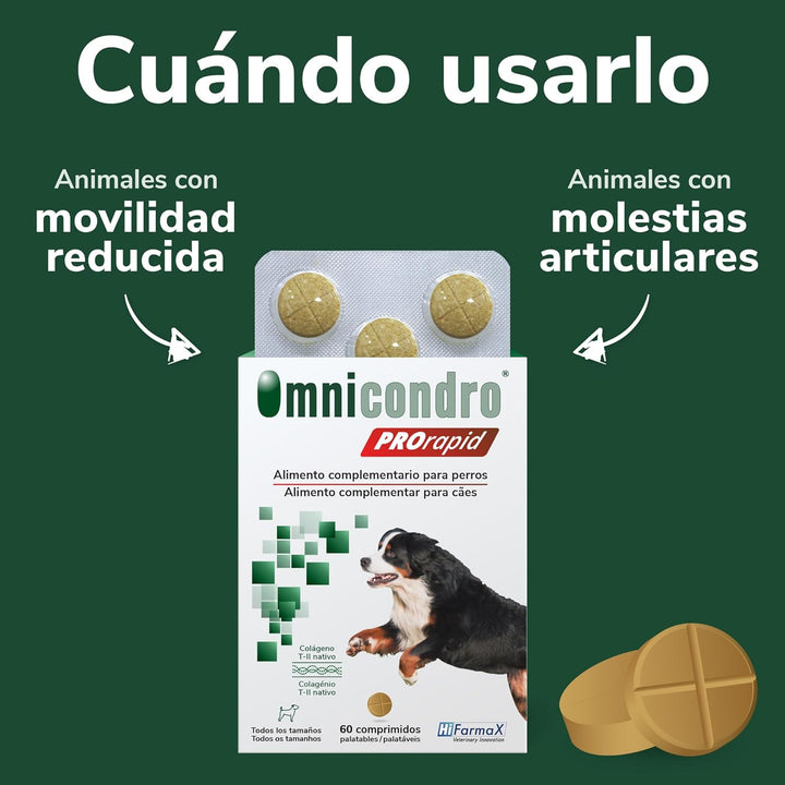 Hifarmax OMNICONDRO PRORAPID Perros 60CPD, Schwarz, Normal