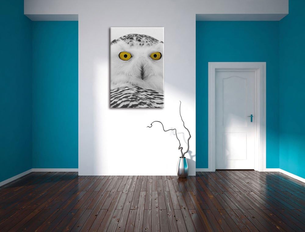 Pixxprint grosse Schnee Eule / 120x80cm Leinwandbild bespannt auf Holzrahmen/Wandbild Kunstdruck Dek