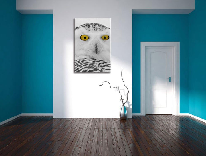 Pixxprint grosse Schnee Eule / 120x80cm Leinwandbild bespannt auf Holzrahmen/Wandbild Kunstdruck Dek