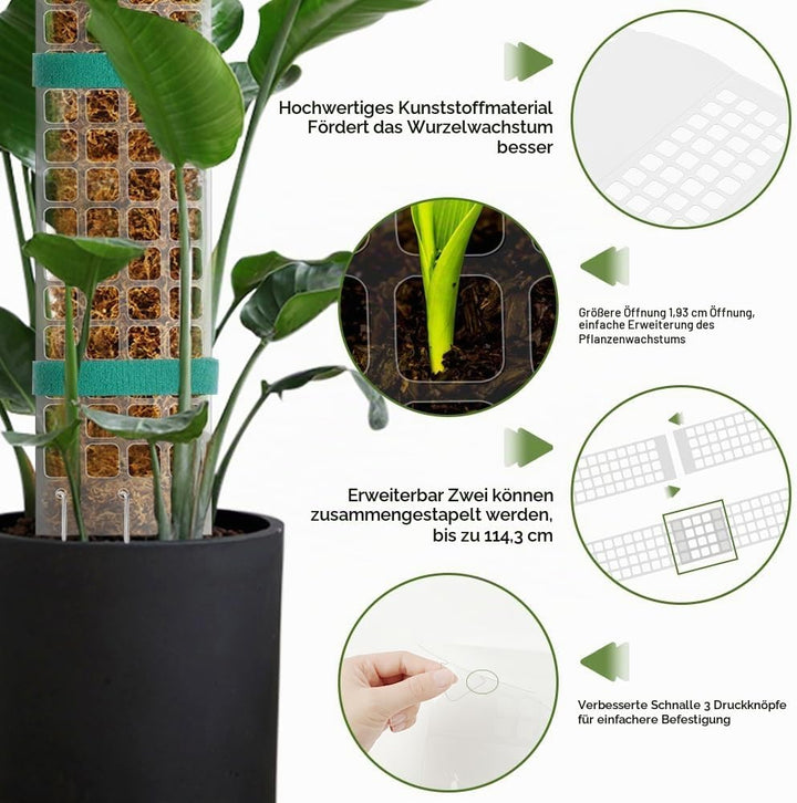 Vicloon Moosstab Rankhilfe, 6 Stück Kunststoff-Moosstange 61cm Monstera Pflanzstab, Pflanzenunterstü