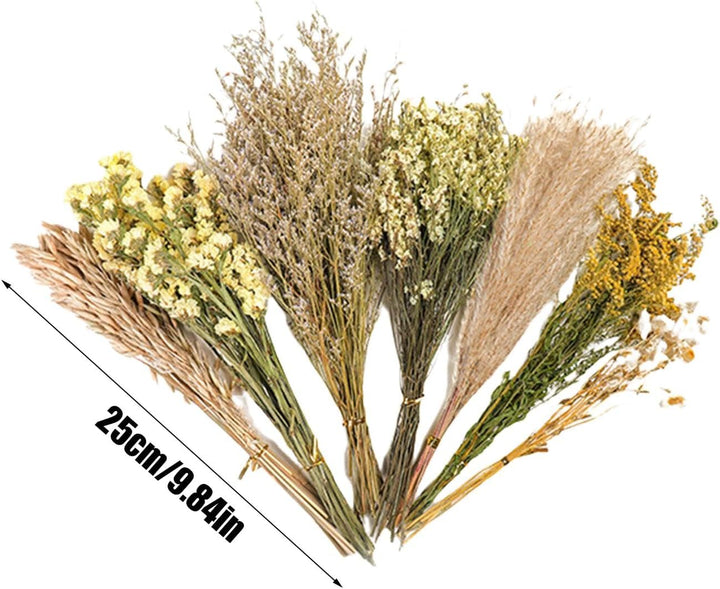 Hamster Heublumen Einstreu, Blumen-Hamster-Bettwäsche, Trockenblumen Für Hamster, Trockenblumen-Hams