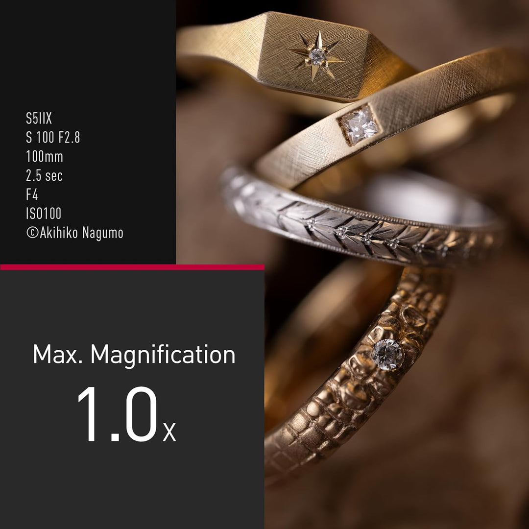 Panasonic Lumix S-E100: 100 mm F2.8 Makroobjektiv, Vollformat-Kameraobjektiv, kompaktes & leichtes D