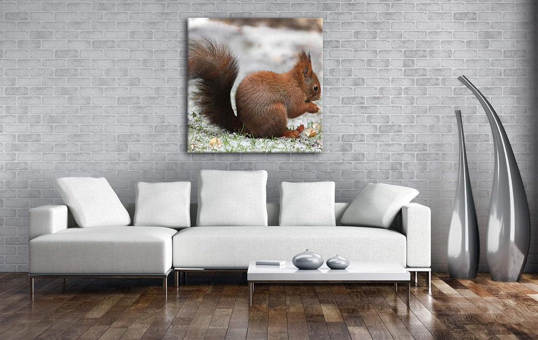 deyoli kleines Eichhörnischen Format: 70x70 als Leinwandbild, Motiv fertig gerahmt auf Echtholzrahme