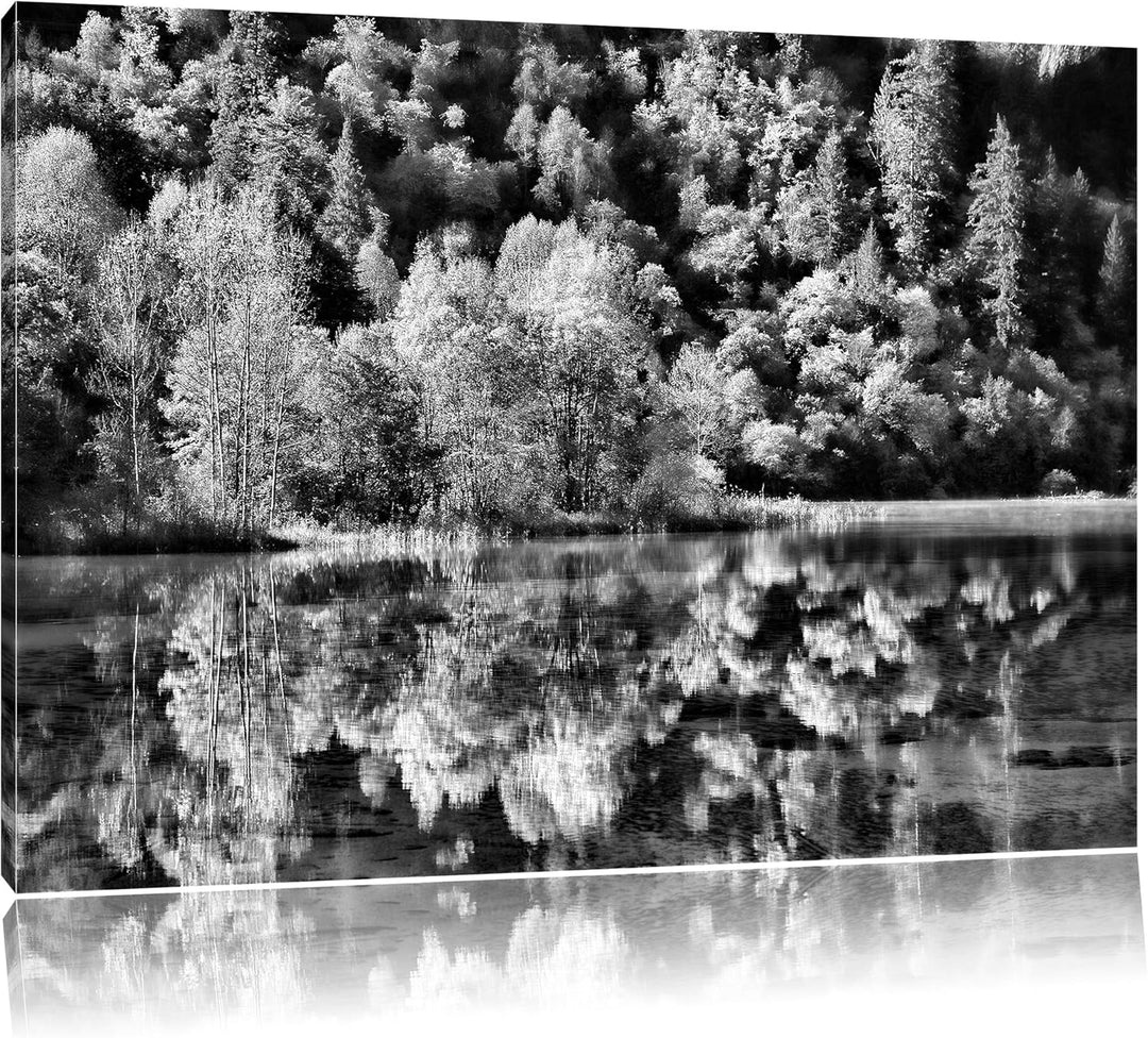 Pixxprint Monocrome, herbstlicher Wald am See, Format: 100x70 auf Leinwand, 100x70