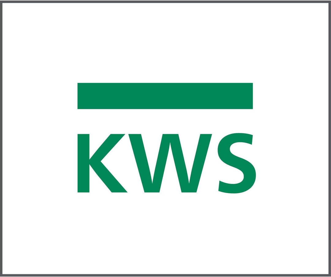 KWS 106002 Silber klappbarem Feststellhebel, Türfeststeller mit schwarzem Gummi, Aluminium lackiert