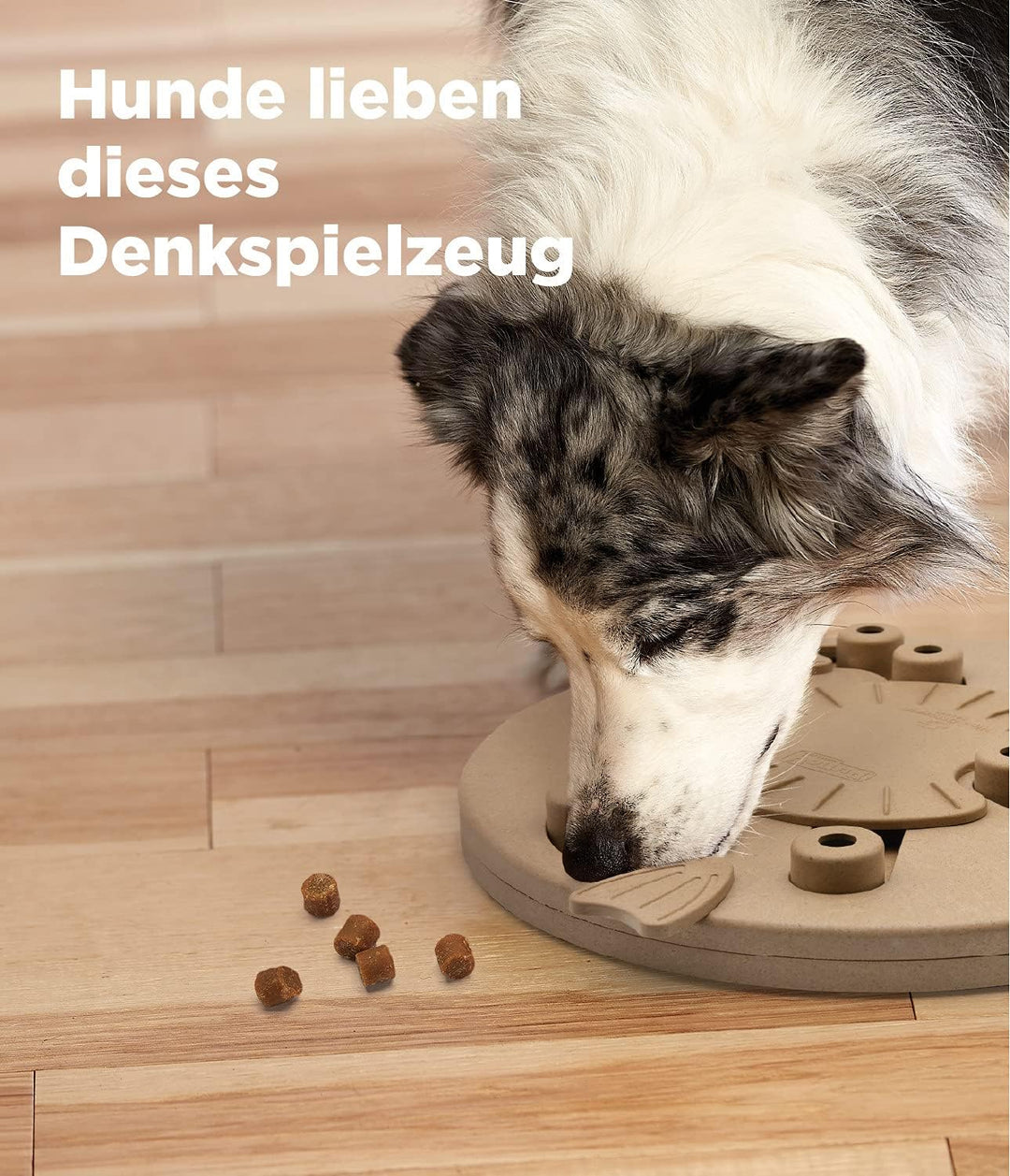 Outward Hound Nina Ottosson Dog Worker - Interaktives Hundespielzeug für Leckerlis - Hellbraun Level
