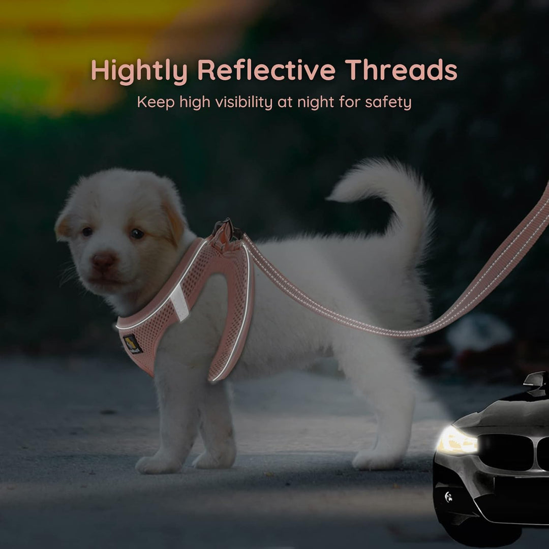 BELLA & PAL Hundegeschirr Kleine Hunde mit Leine, Step-in Geschirr aus Air Mesh, Anti Zug Reflektier