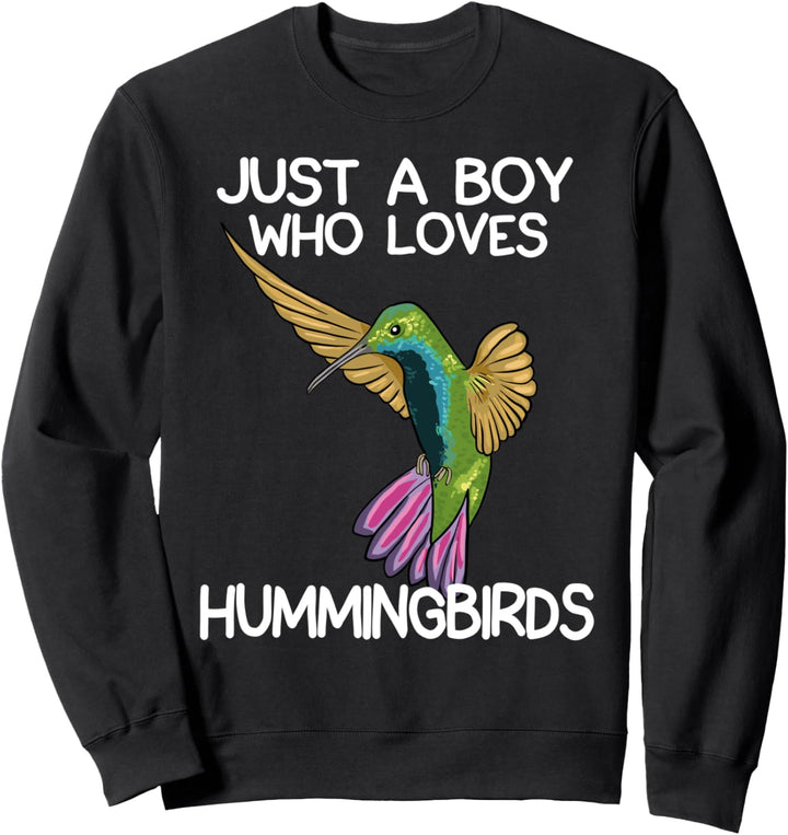 Just A Boy Who Loves Hummingbirds Lover Hummingbird für Sweatshirt