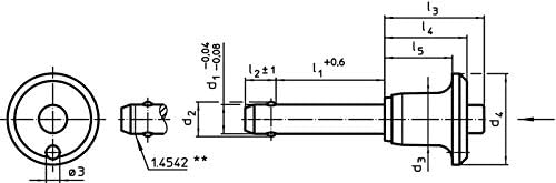 HALDER 22340.0260 Kugelsperrbolzen, d1=12 mm / l1=90 mm / Rostfreier Stahl 1.4305, Schwarz Rostfreie