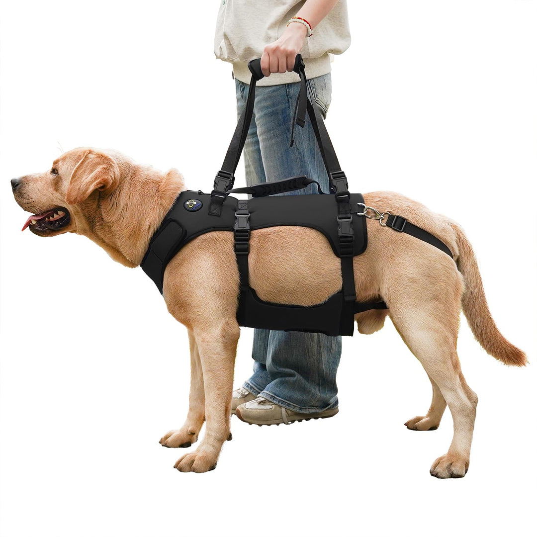 COODEO Hundegeschirr, Ganzkörperstütze und Erholungsweste, verstellbar und atmungsaktiv, für ältere,