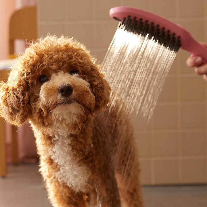 hansgrohe Hundedusche DogShower, Brause wassersparend mit 3 Strahlarten zur Fellpflege von Hunden un