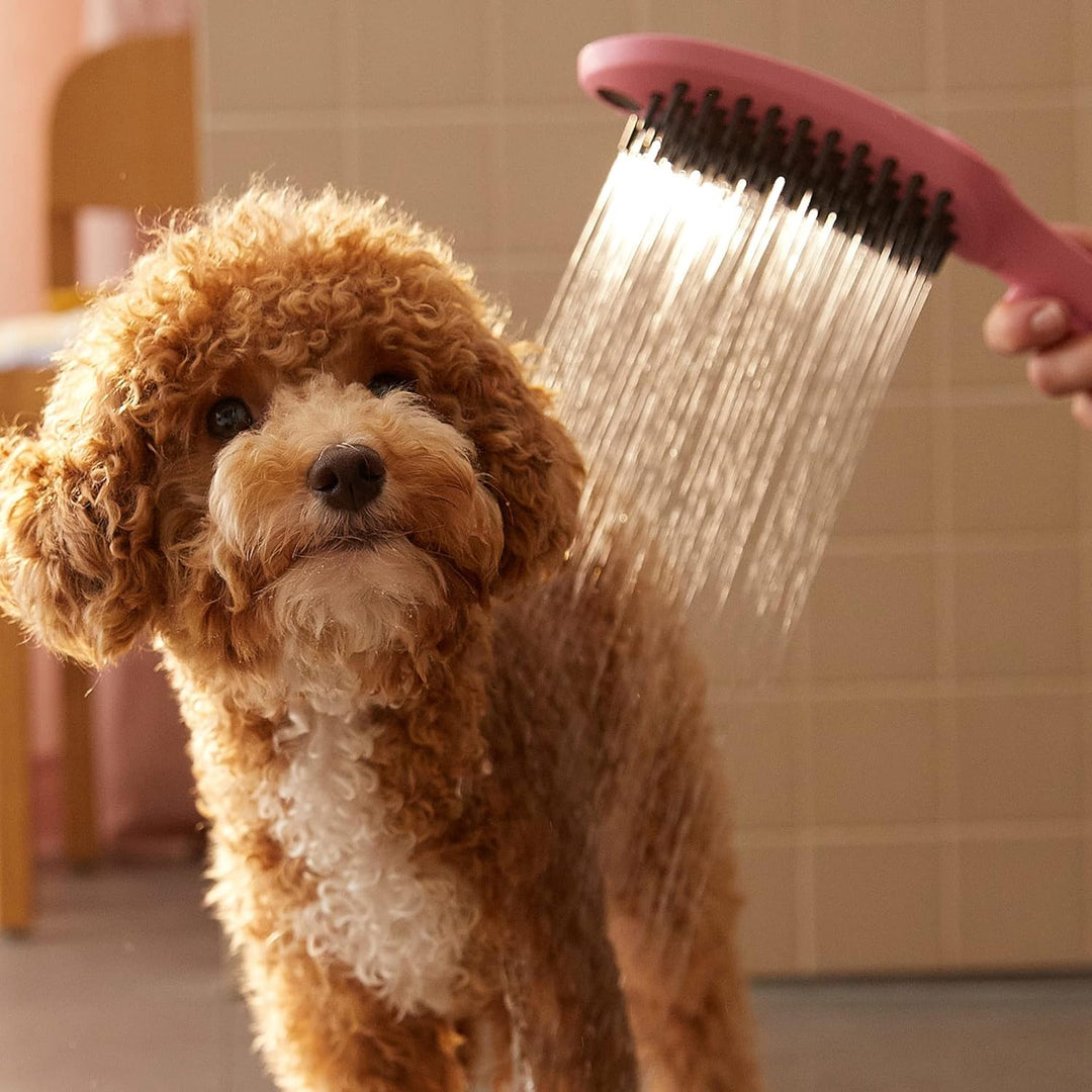 hansgrohe Hundedusche DogShower, Brause wassersparend mit 3 Strahlarten zur Fellpflege von Hunden un