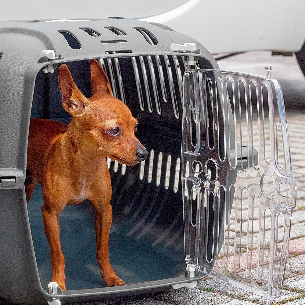 Ferplast Transportbox für kleine Hunde und Katzen, Jet 20, transparente Tür, stossfest, Belüftungssc