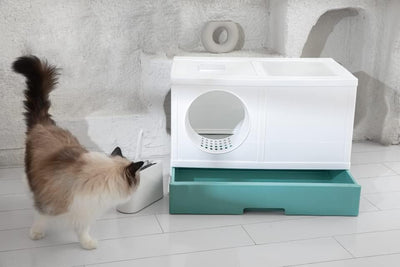 PeTraum Grosses Katzenklo XXL mit Luftfilter, Geschlossene Katzentoilette XXL für Grosse Katzen, ‎69