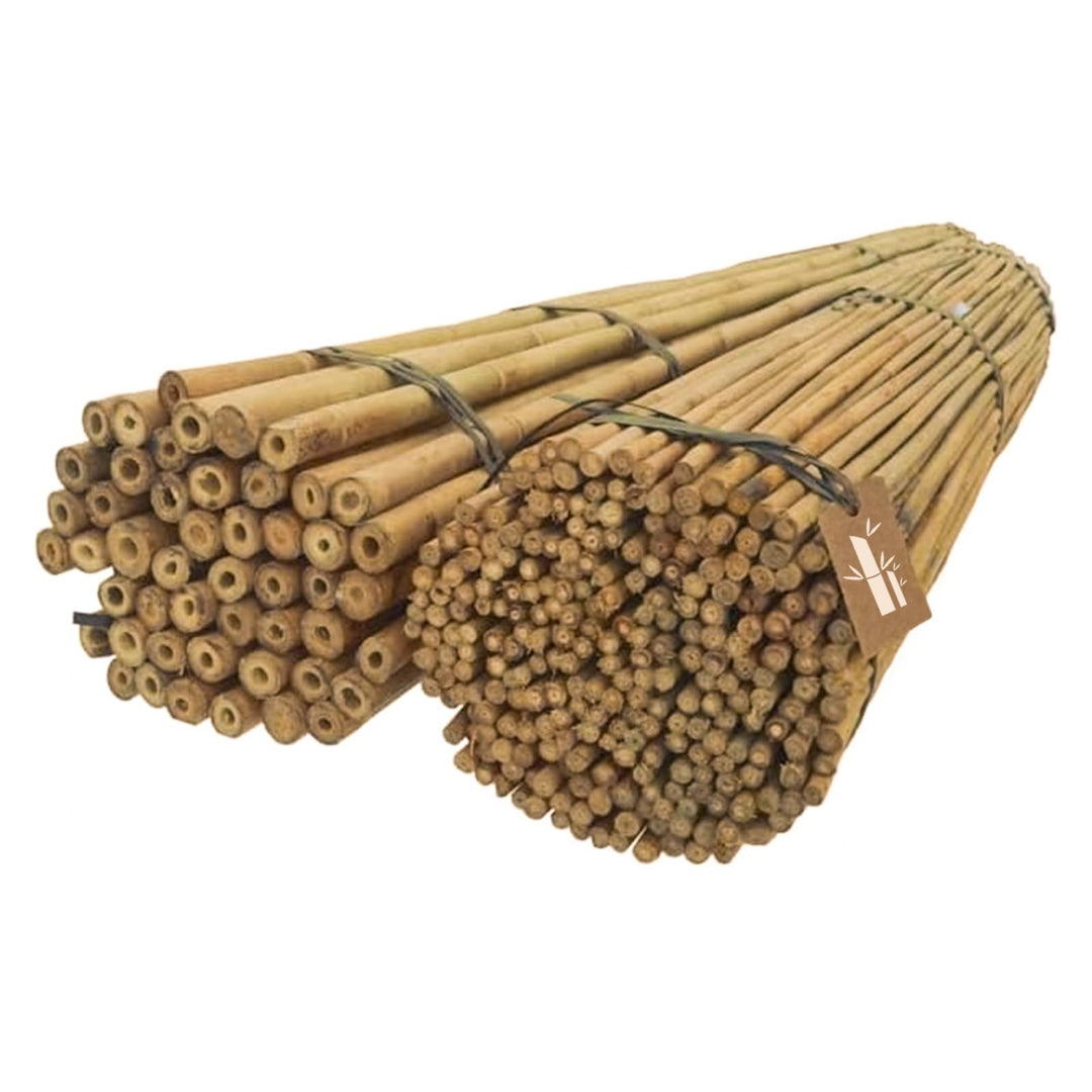 Dixiestore Bambusstäbe Set - Robuste Pflanzenstützen 150 cm x 24-26 mm - 10 Stück Holzstäbchen Rund