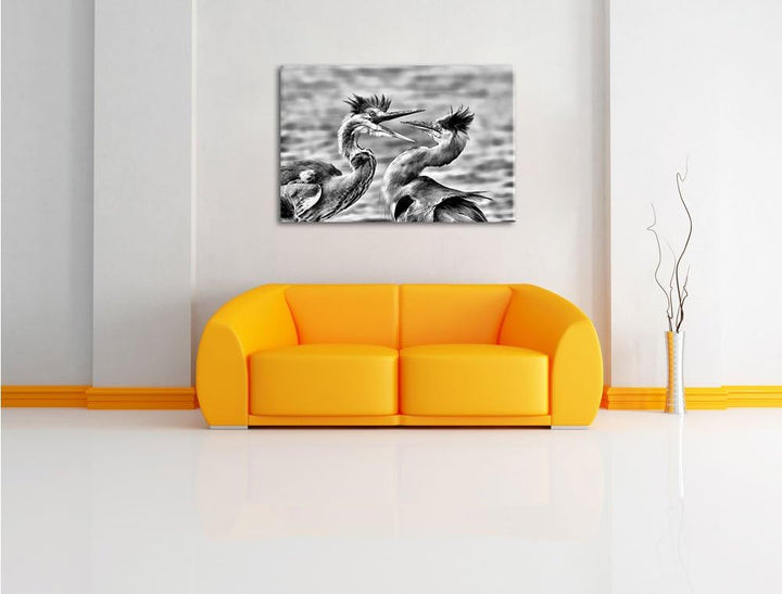 Monocrome, Zankende Vögel, Format: 100x70 auf Leinwand, XXL riesige Bilder fertig gerahmt mit Keilra