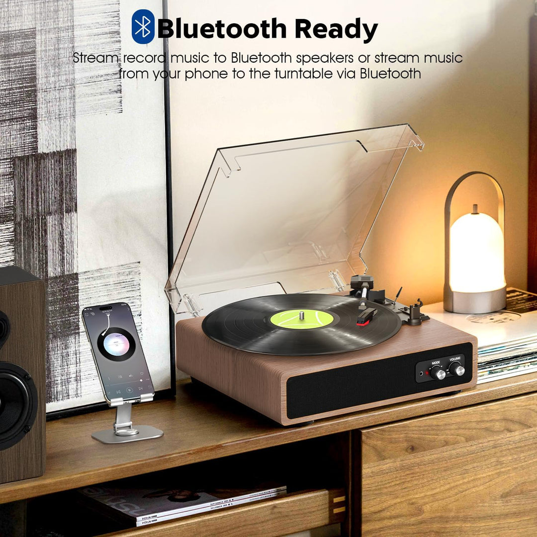 Plattenspieler, FYDEE Vinyl Plattenspieler mit Eingebauten Stereo-Lautsprechern, 3 Geschwindigkeiten